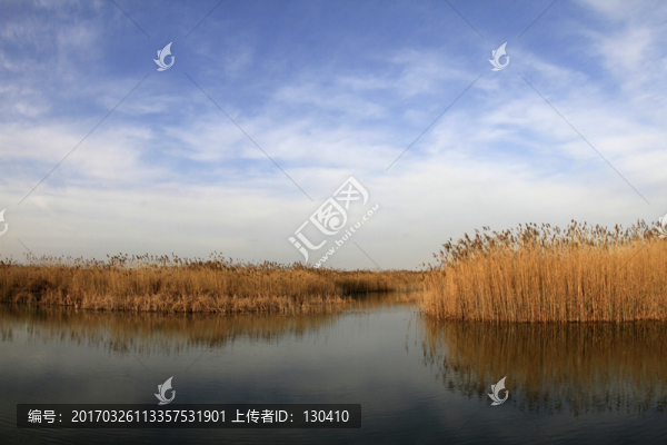 濕地風(fēng)光
