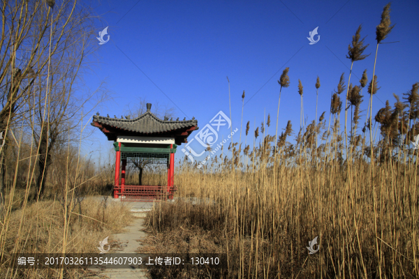 馬踏湖濕地公園