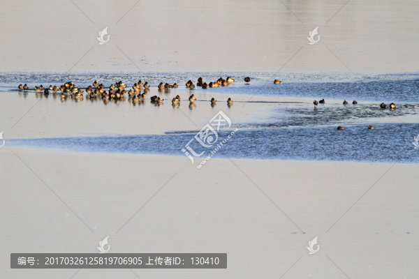 濕地風(fēng)光