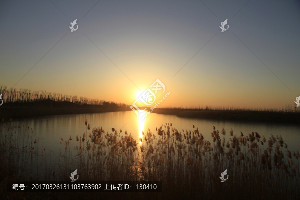 濕地黃昏