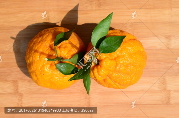 丑八怪