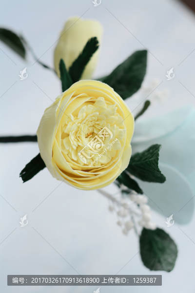 翻糖花卉