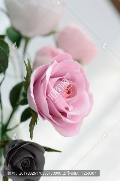 翻糖花卉