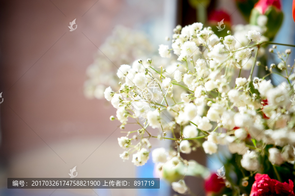 白色滿天星插花