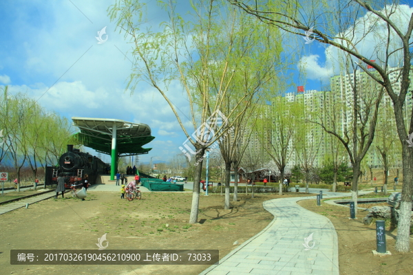 公園綠樹