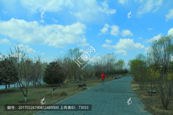 郊野公園