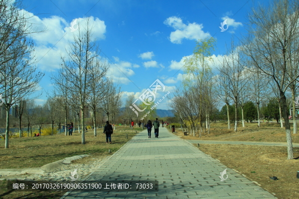 郊野公園