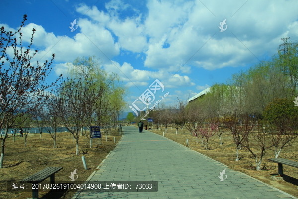 公園小路