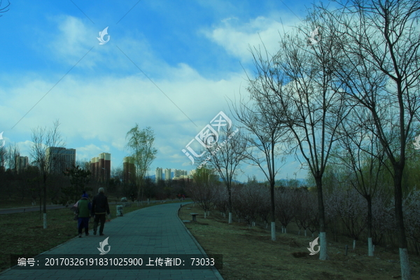 情侶走在公園小路上