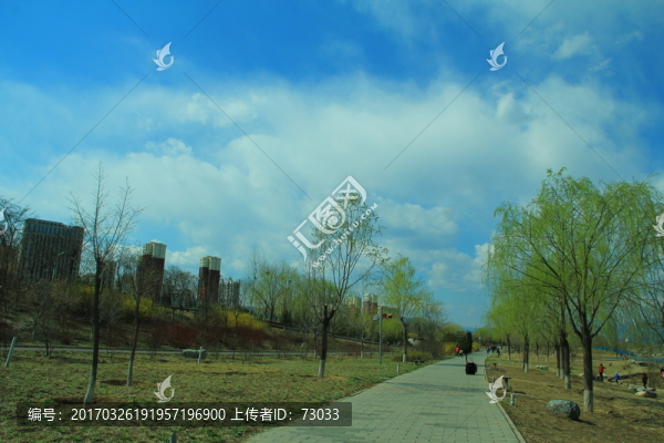 公園小路