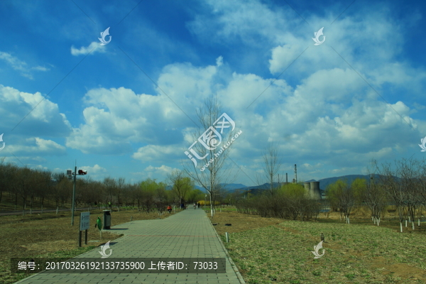 公園道路