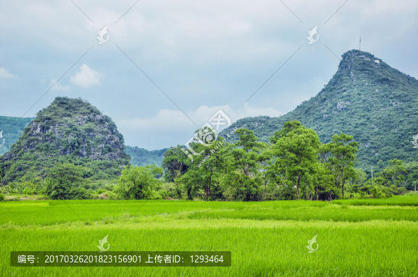 田園春色