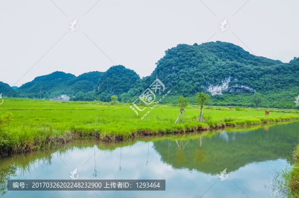 田園春色