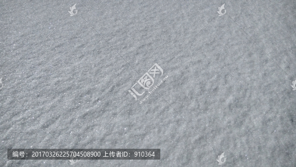 雪地特寫,白色調(diào)背景
