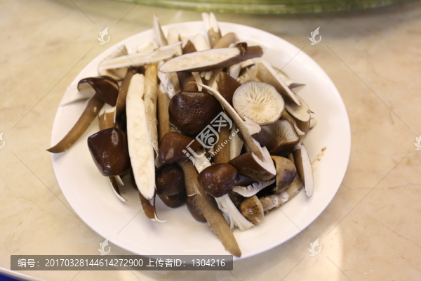雞樅菌