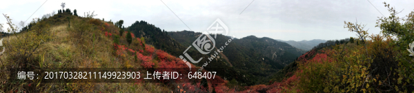 紅葉,遠山,秦嶺,全景,大圖
