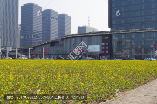 塘沽MSD