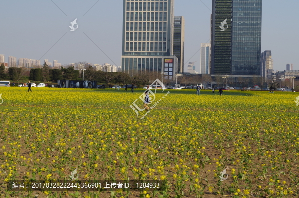 塘沽市民廣場