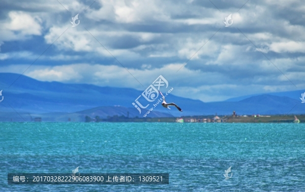 青海湖