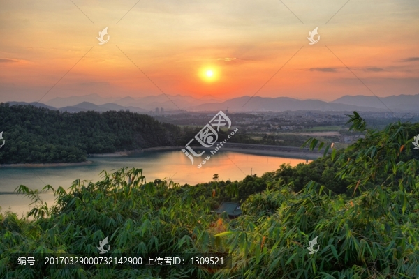 日落金臺