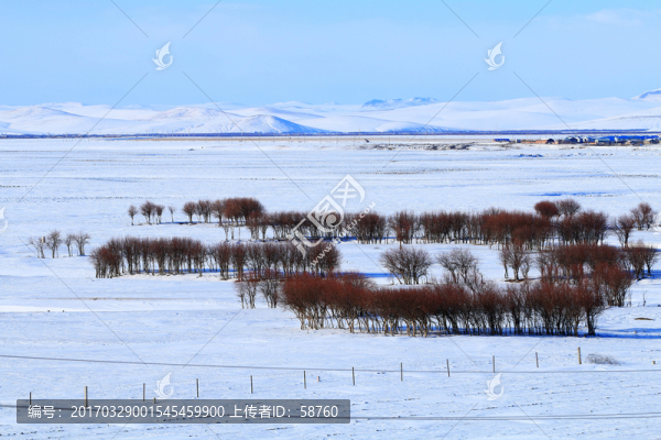 雪野樹(shù)林