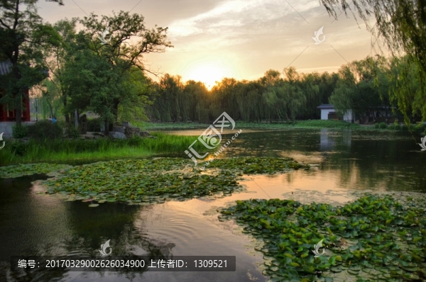 圓明園