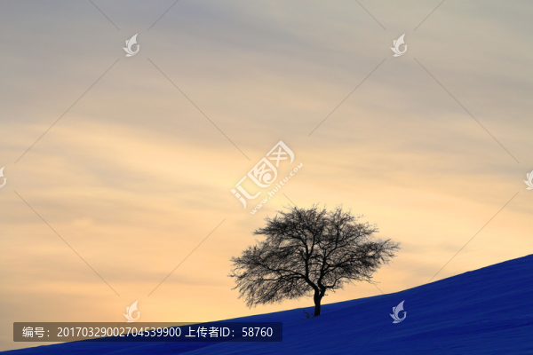 雪原獨(dú)樹暮色
