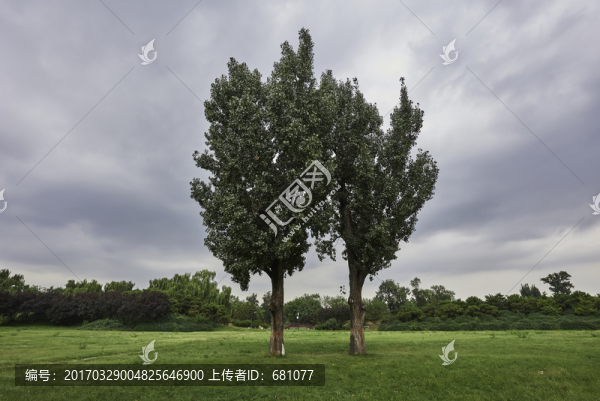 北京圓明園