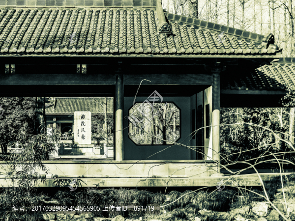 杭州老照片,曲院風(fēng)荷