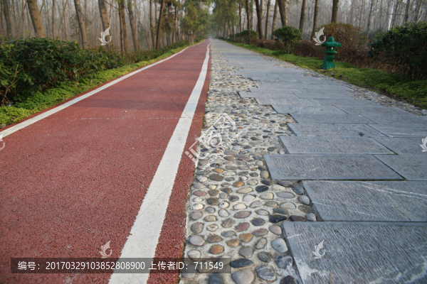 合肥濱湖森林濕地公園綠道