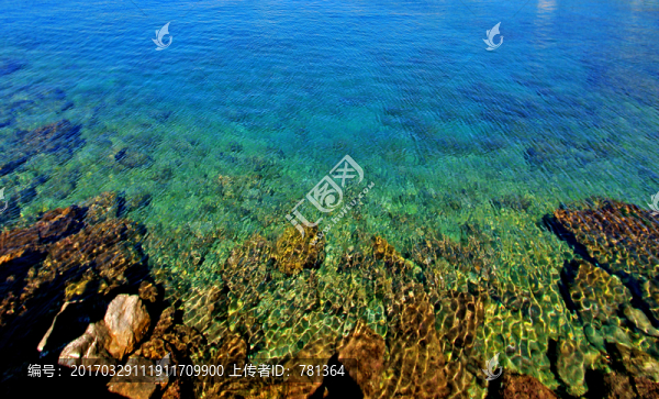 海洋風光