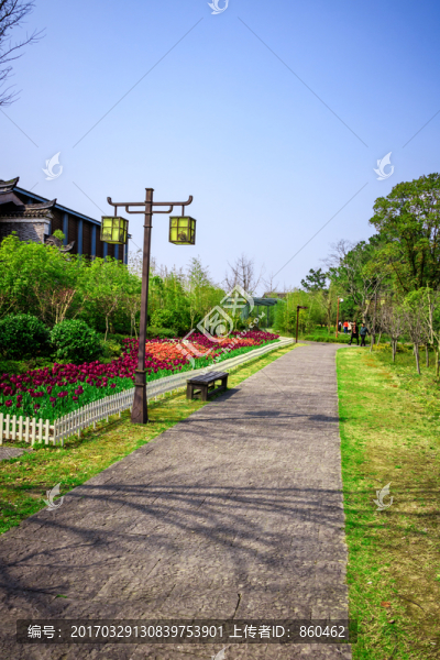 公園景觀道路