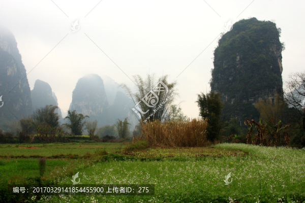遇龍河自然風(fēng)光,高格
