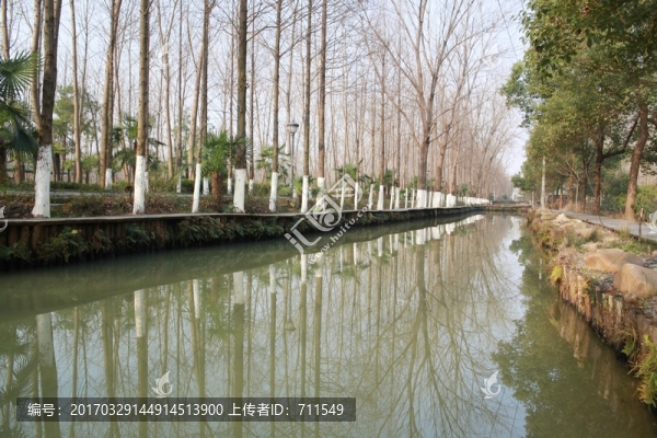 合肥濱湖森林濕地公園