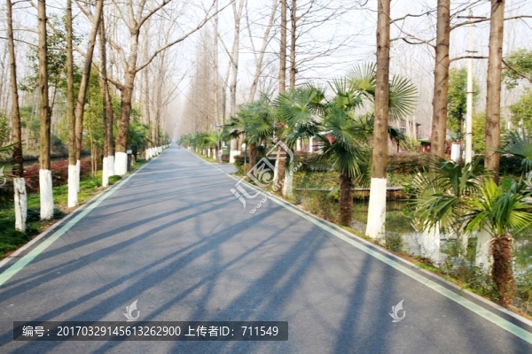 樹林綠道