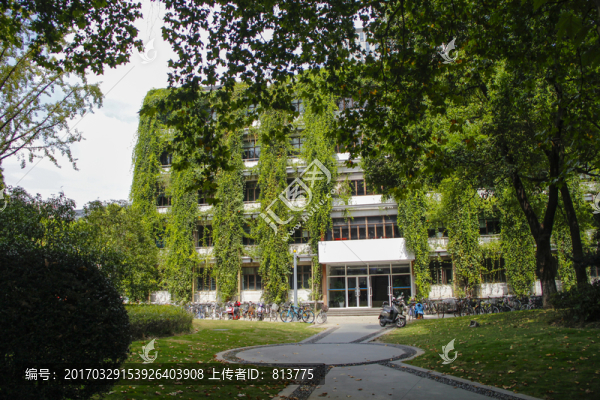 同濟(jì)綠色樓