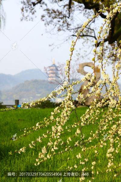 杭州西湖雷峰塔,杭州西湖,杭州