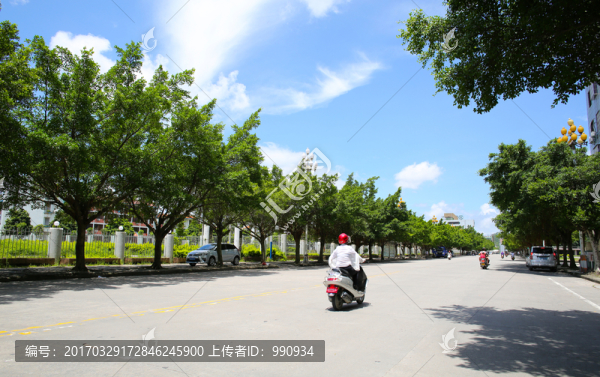 街道綠化