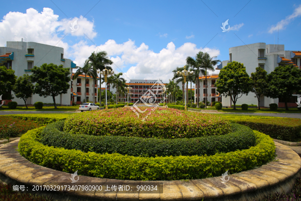 花圃,花壇