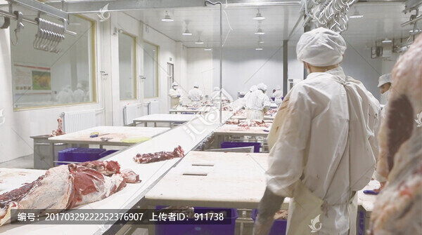 肉類生產(chǎn)線