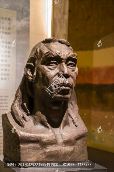 人類進(jìn)化歷程