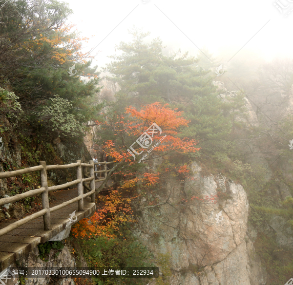 君山秋景