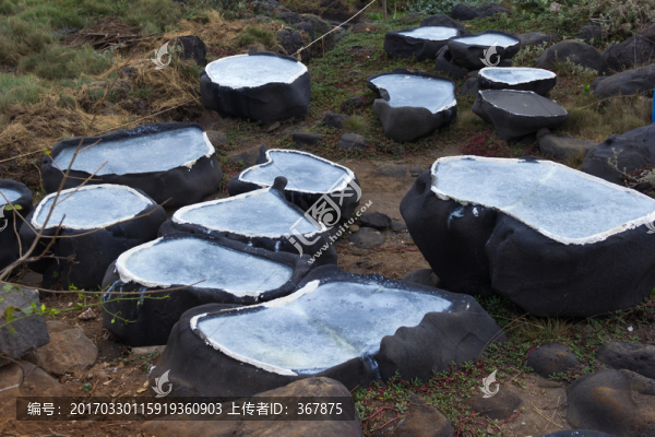 千年古鹽田
