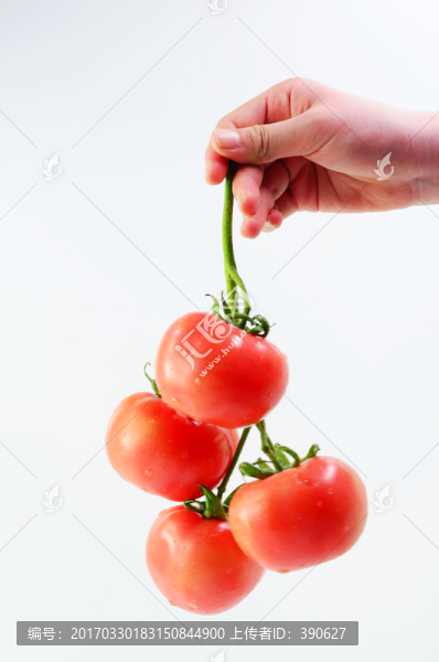 拎著一串西紅柿