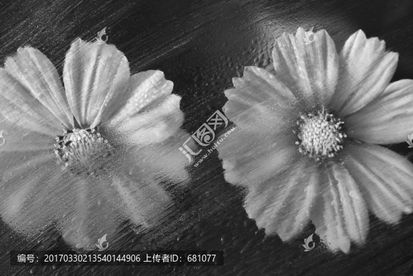 格?；? title=