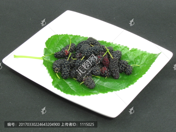 桑椹