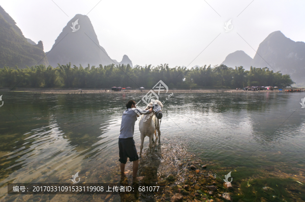 廣西漓江邊上白馬