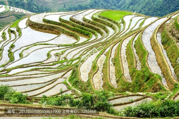梯田風(fēng)光