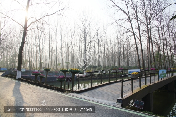 合肥濱湖國(guó)家森林公園