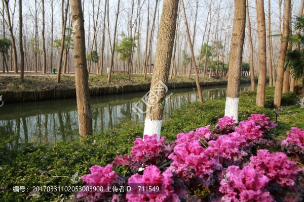 合肥濱湖國家森林公園